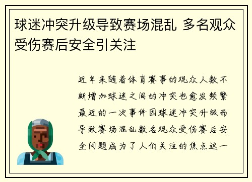 球迷冲突升级导致赛场混乱 多名观众受伤赛后安全引关注