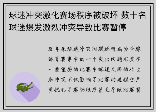 球迷冲突激化赛场秩序被破坏 数十名球迷爆发激烈冲突导致比赛暂停